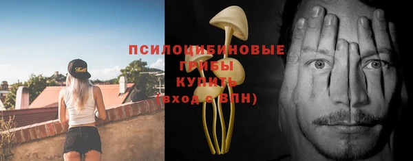 MDMA Дмитровск