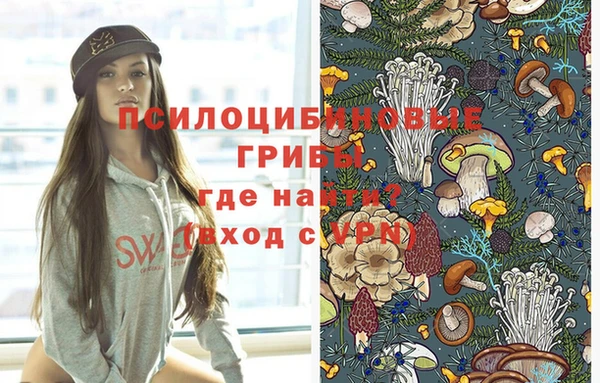 мескалин Дмитриев