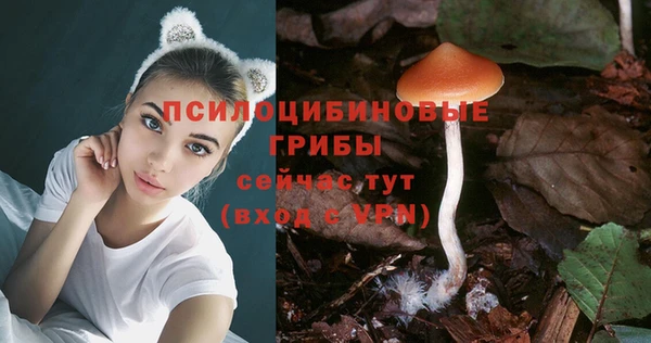 PSILOCYBIN Дмитров