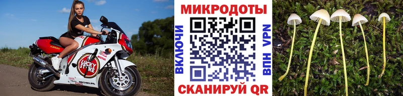 blacksprut ТОР  Петухово  Галлюциногенные грибы мицелий 